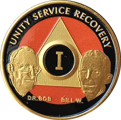 1 Year Founders AA Medallion HD Orange Black Gold Plated Bill & Bob Chip