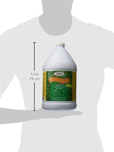 Medina 12-4-8 HastaGro Lawn, 1 gallon