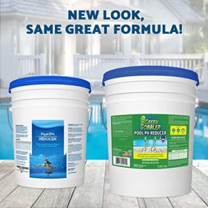 Green Gobbler pH Down | Pool & Hot Tub Spa pH Reducer | pH decreaser | Sodium Bisulfate | 25 lb Pail