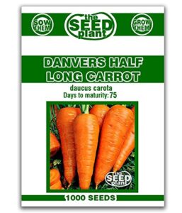 the dirty gardener danvers half long carrots, 1,000 seeds
