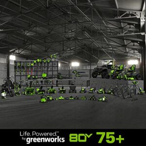 Greenworks 80V (75+ Compatible Tools) 12” Brushless Cordless Snow Shovel, 2.0Ah Battery and Charger Included