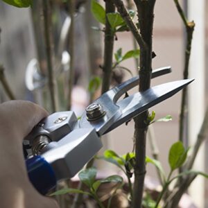 Coolife Professional Garden Bypass Pruning Shears, Heavy Duty Sharp Hand Pruner for Trees, Hedges, Bonsai, Shrubs and Roses