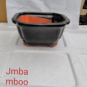 Jmbamboo - Black Ceramic Bonsai Pot - Rectangle Indented Corners 6 X 4.5 X 3 Unique Design From Jmbamboo