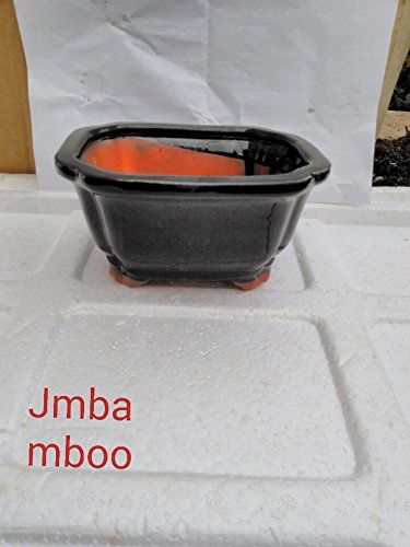 Jmbamboo - Black Ceramic Bonsai Pot - Rectangle Indented Corners 6 X 4.5 X 3 Unique Design From Jmbamboo