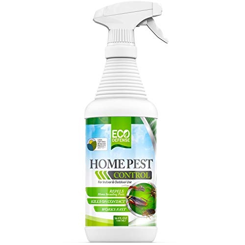 Eco Defense USDA Biobased Pest Control Spray - Ant, Roach, Spider, Bug Killer and Repellent - Natural Indoor & Outdoor Bug Spray - Child & Pet Friendly