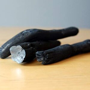 Binchotan Charcoal - Water Purifying Sticks for Great-Tasting Water from Kishu, Japan - Each Stick Filters up to 2 Liters of Water - 3 Sticks