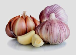 garlic bulb (3 pack), fresh siberian hardneck garlic bulb for planting and growing your own garlic or eating