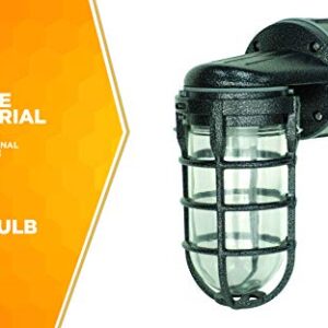 Woods L1707SVBLK Wall Mount Light in Hammered Black Finish Sturdy Die Cast Aluminum Cage; 100 Watt Incandescent; Industrial Design; Suitable for Indoor and Outdoor Use