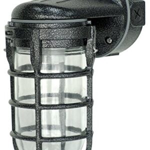 Woods L1707SVBLK Wall Mount Light in Hammered Black Finish Sturdy Die Cast Aluminum Cage; 100 Watt Incandescent; Industrial Design; Suitable for Indoor and Outdoor Use