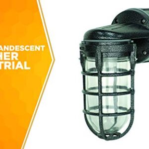 Woods L1707SVBLK Wall Mount Light in Hammered Black Finish Sturdy Die Cast Aluminum Cage; 100 Watt Incandescent; Industrial Design; Suitable for Indoor and Outdoor Use