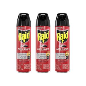 raid ant and roach killer 17.5 ounce (pack of 3)