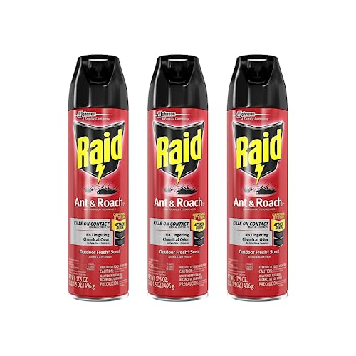 Raid Ant and Roach Killer 17.5 Ounce (Pack of 3)