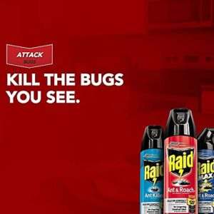 Raid Ant and Roach Killer 17.5 Ounce (Pack of 3)