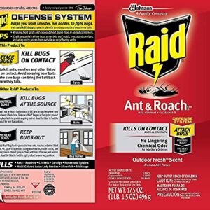 Raid Ant and Roach Killer 17.5 Ounce (Pack of 3)