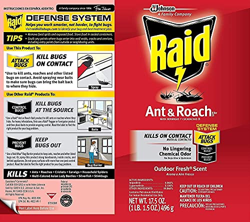Raid Ant and Roach Killer 17.5 Ounce (Pack of 3)
