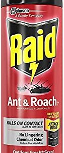 Raid Ant and Roach Killer 17.5 Ounce (Pack of 3)