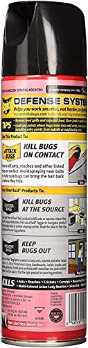 Raid Ant and Roach Killer 17.5 Ounce (Pack of 3)