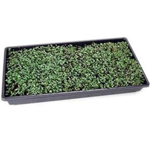 Basic Salad Mix Microgreens Seeds | Non-GMO Micro Green Seed Blend | Broccoli, Kale, Kohlrabi, Cabbage, Arugula, & More (1 Pound)