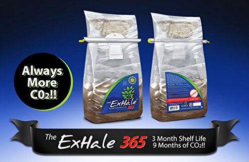 ExHale CO2 EX50003 Exhale 365-Self Activated CO2 Bag, 365