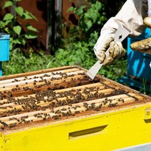 KINGLAKE Beekeepers Polished Stainless Steel Hive Scraper Tool Beekeeping Equipment Tool Silver