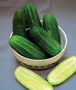 cucumber, national pickling cucumber seed, heirloom,25 seeds, great for pickling