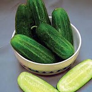 Cucumber, National Pickling Cucumber Seed, Heirloom,25 Seeds, Great for Pickling