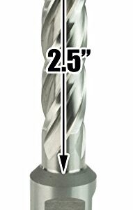 Steel Dragon Tools® 1/2" x 2" High Speed Steel Annular Cutter with 3/4" Weldon Shank