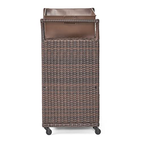 Christopher Knight Home Ravenna Barcart, Multibrown