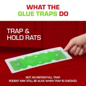 Tomcat Super Hold Glue Traps Rat Size for Rats, Mice, Snakes, Cockroaches, Spiders, and Scorpions, Ready-To-Use, 2 Traps