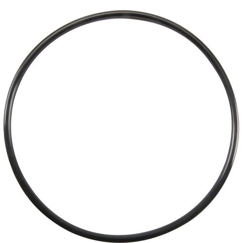 EVERPURE 10" Prefilter Housing O-Ring for E and SR-X Series Water Filtration Systems 311240