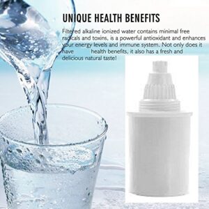 WellBlue Alkaline Water Replacement Filters (White) - 3 Pack