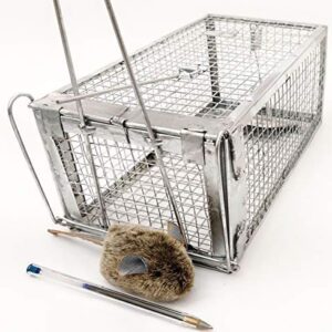 AB Traps Quality Live Animal Humane Trap Catch and Release Rats Mouse Mice Rodents Cage - Voles Squirrel and Similar Sized Pets Safe and Effective | Size Small