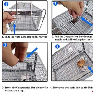 AB Traps Quality Live Animal Humane Trap Catch and Release Rats Mouse Mice Rodents Cage - Voles Squirrel and Similar Sized Pets Safe and Effective | Size Small