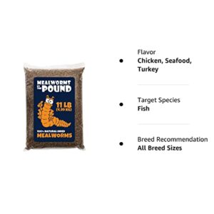 MBTP Bulk Dried Mealworms - Treats for Chickens & Wild Birds (11 Lbs)