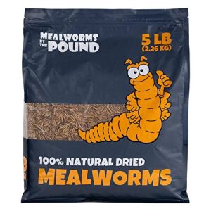 mbtp bulk dried mealworms - treats for chickens & wild birds (5 lbs)