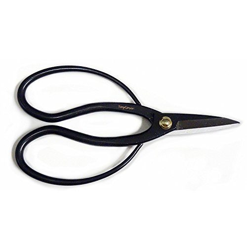 TinyGreen JAPAN Bonsai Tool: Shear High Quality Japanese Butterfly Professional Grade MADE IN JAPAN