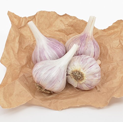 Gourmet Chesnok Red Garlic Bulbs Hard Neck - 4 Bulbs - Garlic To Plant For Fall Planting - Non-GMO Organic Grown
