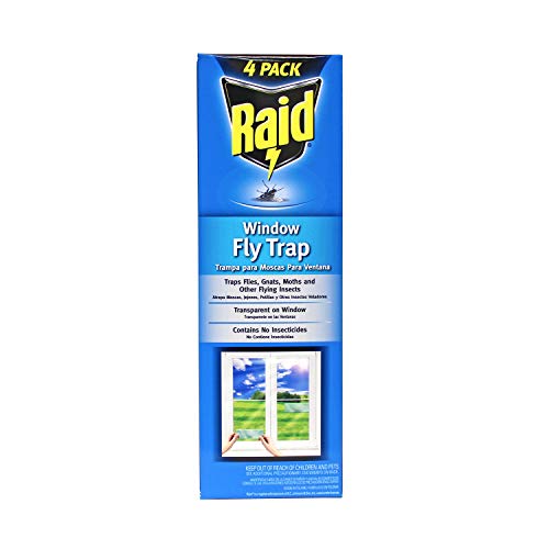 Raid Window Fly Trap, 4ct (Pack of 1)