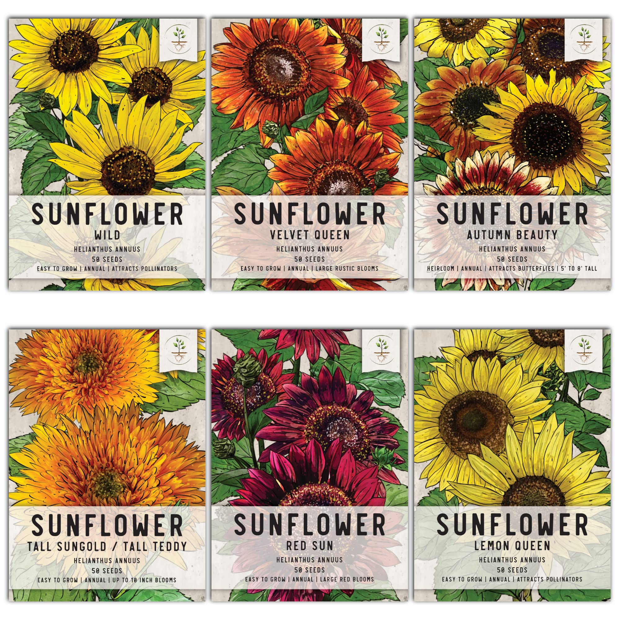 Seed Needs, Crazy Sunflower Seed Packet Variety Collection (6 Individual Varieties for Planting) Red Sun, Velvet Queen, Lemon Queen & More