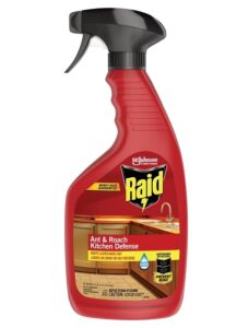 raid ant & roach barrier spray, keep listed bugs out, for indoor & outdoor use, leaves no odor, 22 oz