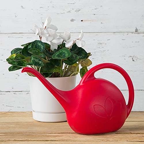 Novelty 30605 Indoor Watering Can, 1/2 Gallon, Red