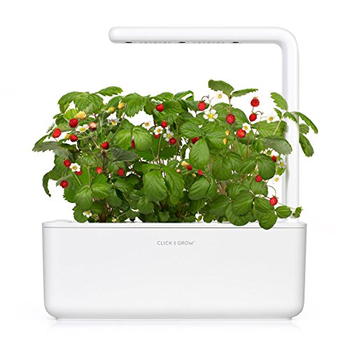 Click and Grow SGR24x3 Smart Garden Wild Strawberry Plant Pods, 3-Pack