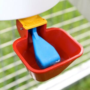 Royal Rooster Chicken Feeder and Chicken Waterer Set - 7 lb Poultry Chicken Feeder with Rain Cover and 1 Gallon Waterer System - Chicken Coop Accessories: Valve-Cup Waterer and Gravity-Feed Feeder Set