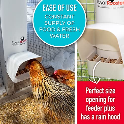 Royal Rooster Chicken Feeder and Chicken Waterer Set - 7 lb Poultry Chicken Feeder with Rain Cover and 1 Gallon Waterer System - Chicken Coop Accessories: Valve-Cup Waterer and Gravity-Feed Feeder Set