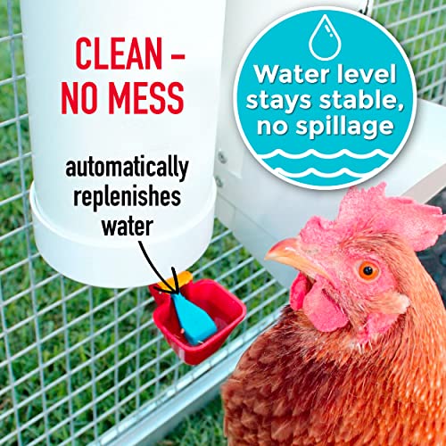 Royal Rooster Chicken Feeder and Chicken Waterer Set - 7 lb Poultry Chicken Feeder with Rain Cover and 1 Gallon Waterer System - Chicken Coop Accessories: Valve-Cup Waterer and Gravity-Feed Feeder Set