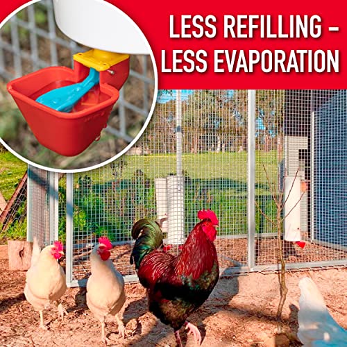 Royal Rooster Chicken Feeder and Chicken Waterer Set - 7 lb Poultry Chicken Feeder with Rain Cover and 1 Gallon Waterer System - Chicken Coop Accessories: Valve-Cup Waterer and Gravity-Feed Feeder Set