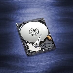 WD Blue 320GB Internal Hard Disk Drive - 5400 RPM Class SATA 6Gb/s 16MB Cache 2.5 Inch - WD3200LPCX