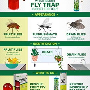 RESCUE! Fruit Fly Trap Bait Refill – 30 Day Supply