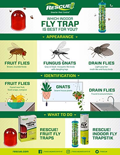 RESCUE! Fruit Fly Trap Bait Refill – 30 Day Supply