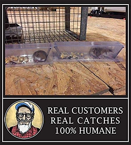 Grandpa Gus's CCT-2 Humane Live Catch & Release Critter & Rodent Trap, Indoor/Outdoor Reusable with No Poison/Glue & No Killing (Pack of 2)